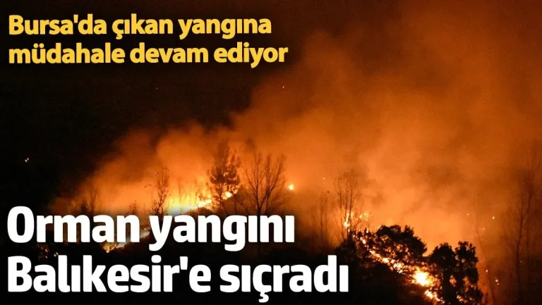 Bursa Orman Yangını Sabotajı: Fetö İlişkisi Belgelendi