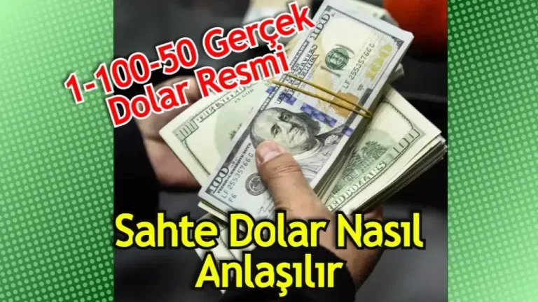 Ekonomi Nasıl Anlaşılır: Başlangıç İçin 7 Kolay Yöntem