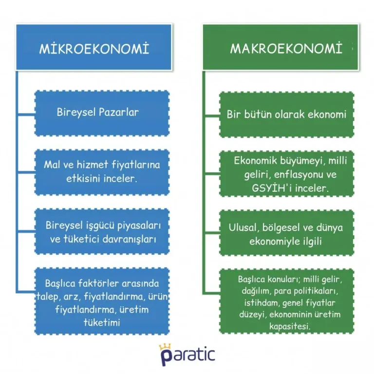 Makroekonomi Nasıl Anlaşılır: İşletmeler İçin Pratik Rehber