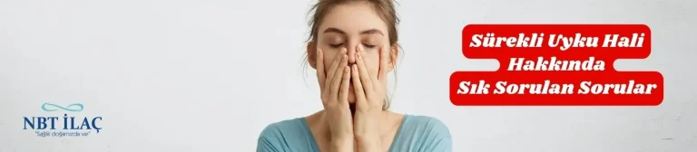 Yaşam Hakkında En Çok Sorulan Sorular ve Cevaplar – Rehber