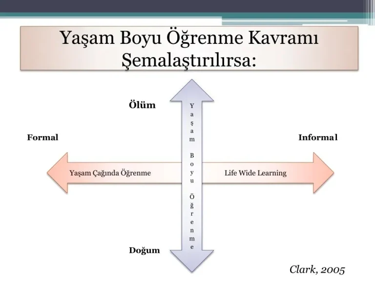 Yaşam Boyu Öğrenme Stratejileri: Kariyerinizi Destekleyin